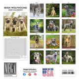 Irish Wolfhound Wall Calendar 2026