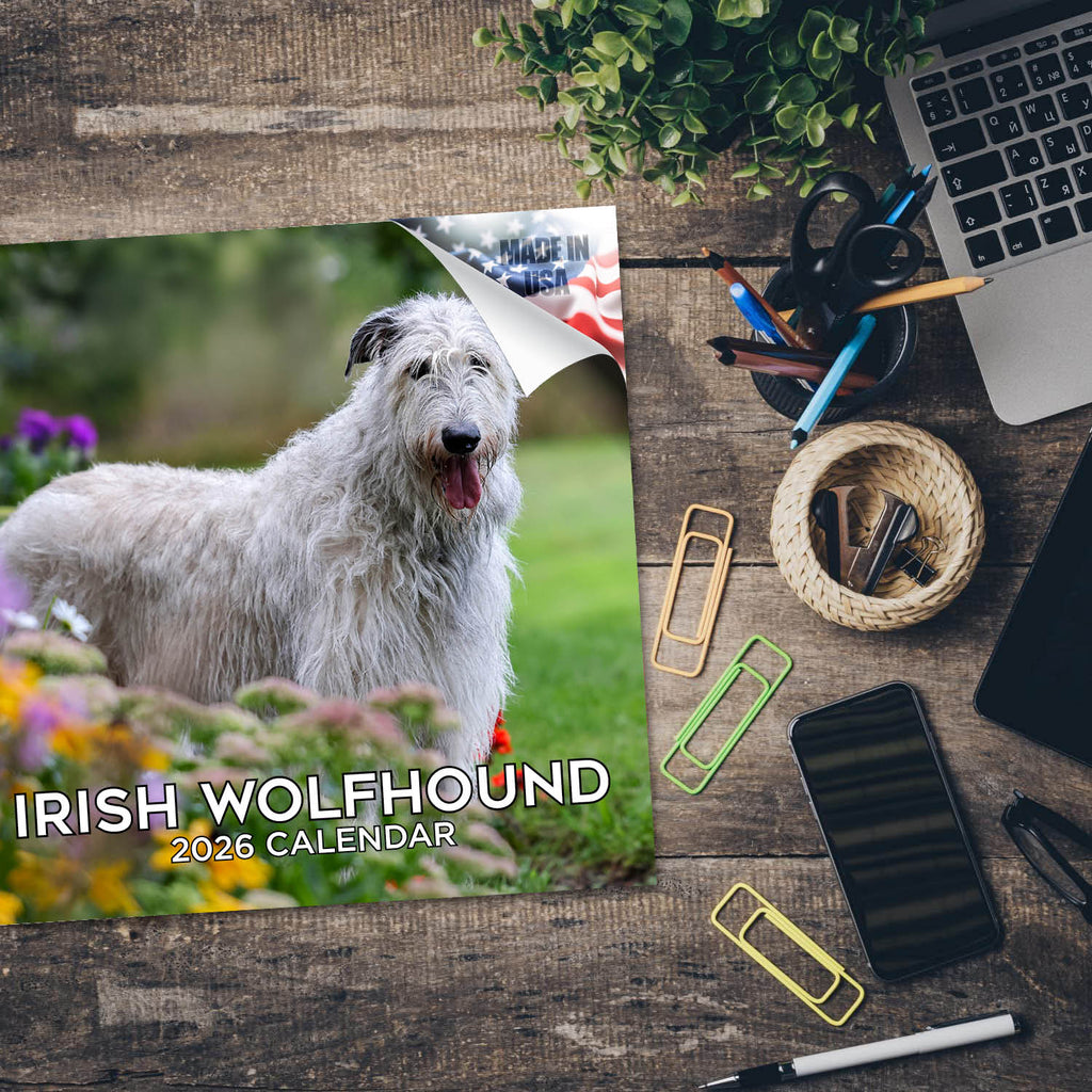 Irish Wolfhound Wall Calendar 2026