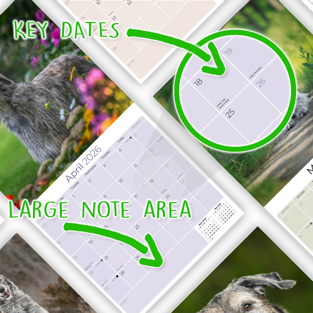 Irish Wolfhound Wall Calendar 2026
