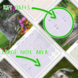 Irish Wolfhound Wall Calendar 2026