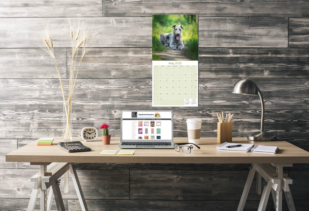 Irish Wolfhound Wall Calendar 2026