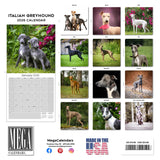 Italian Greyhound Wall Calendar 2026