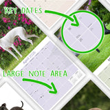 Italian Greyhound Wall Calendar 2026
