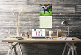 Italian Greyhound Wall Calendar 2026