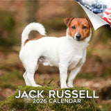 Jack Russell Wall Calendar 2026