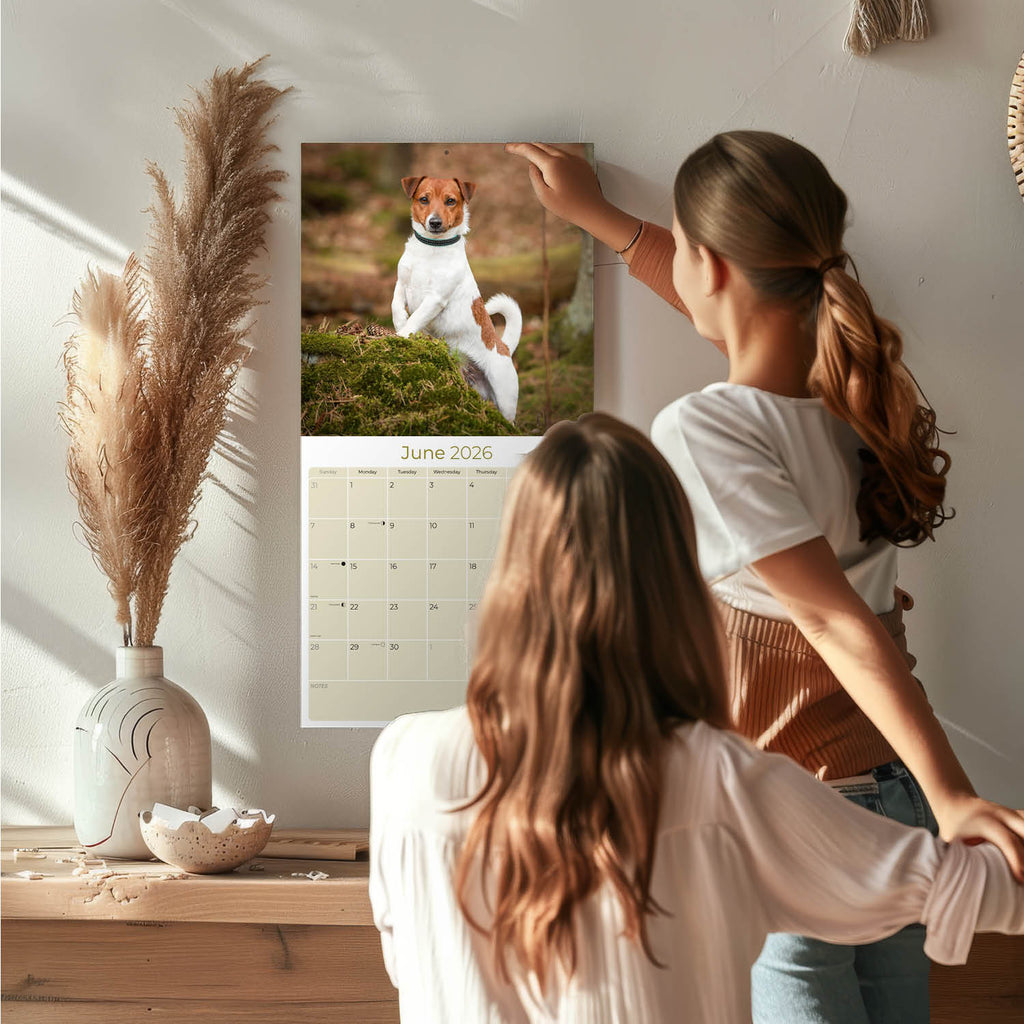 Jack Russell Wall Calendar 2026
