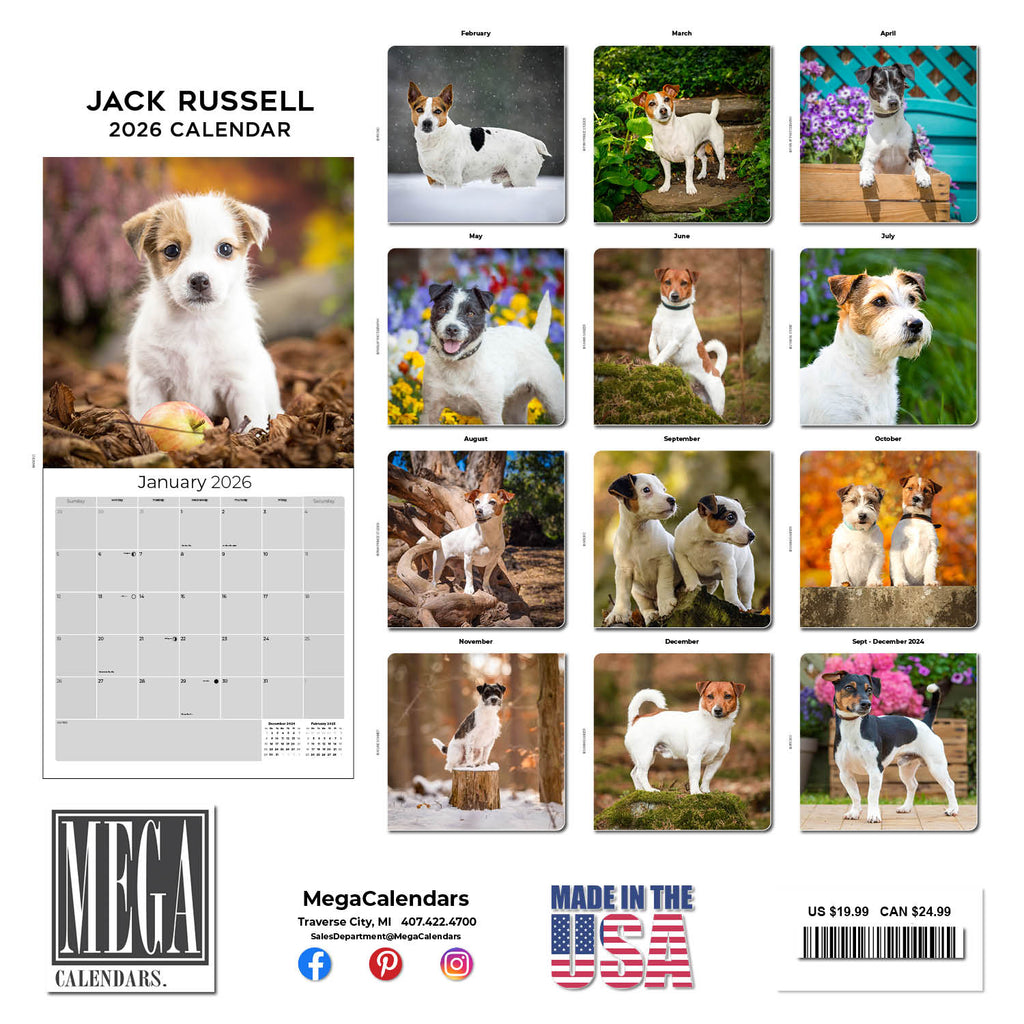 Jack Russell Wall Calendar 2026