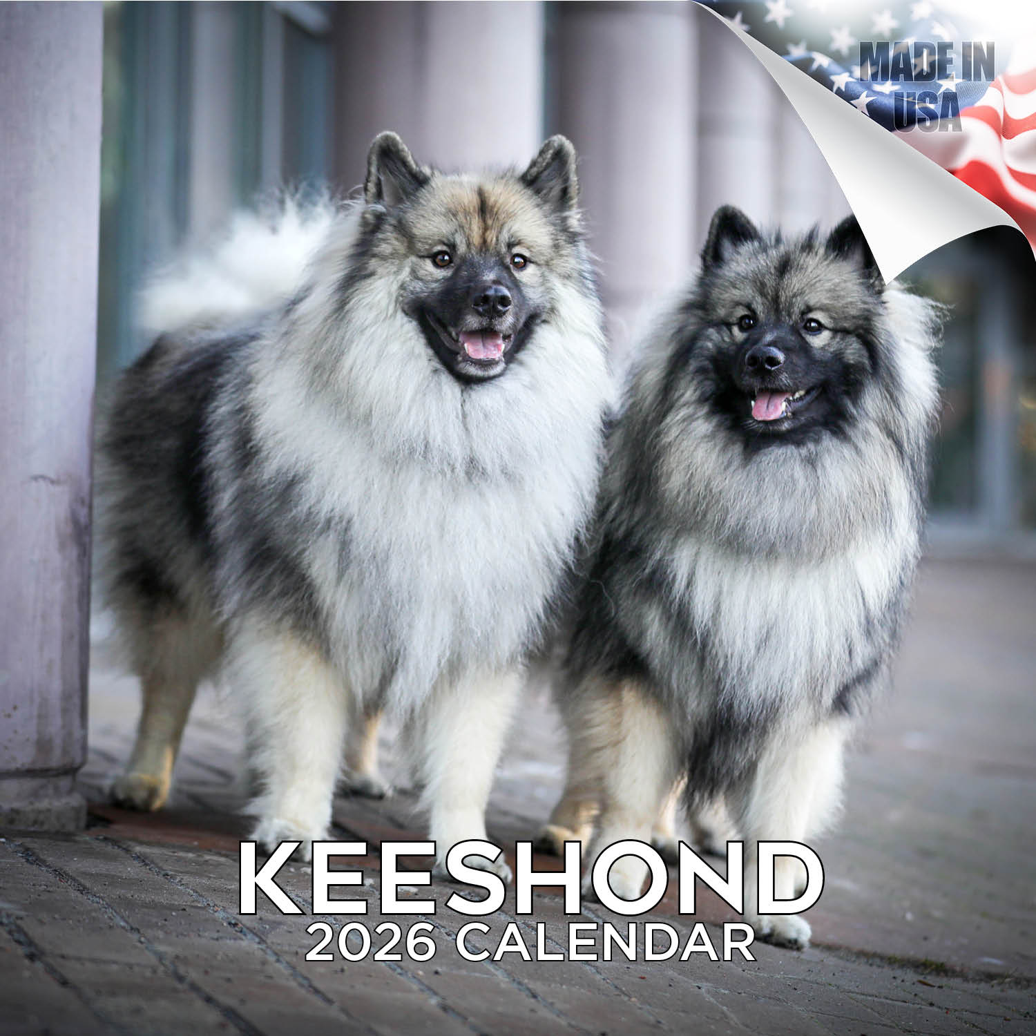 Keeshond Wall Calendar 2026