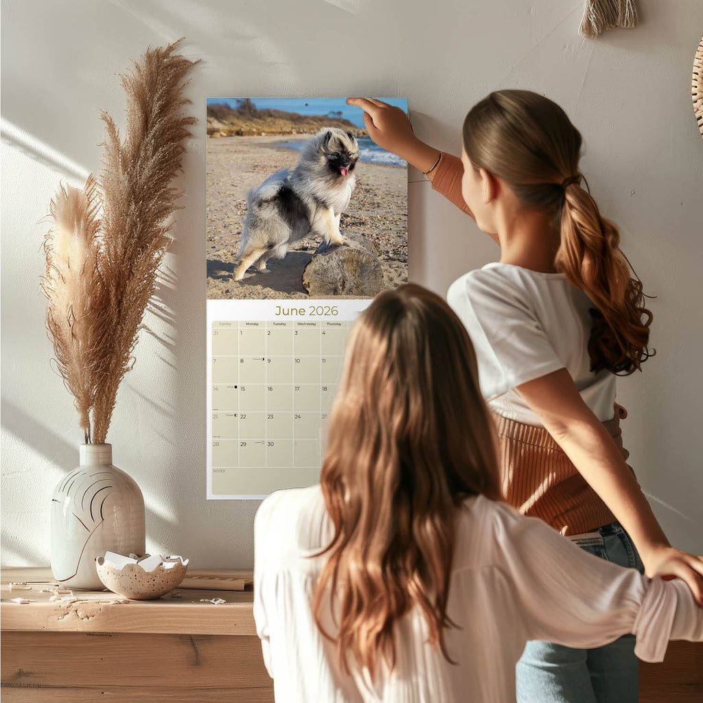 Keeshond Wall Calendar 2026