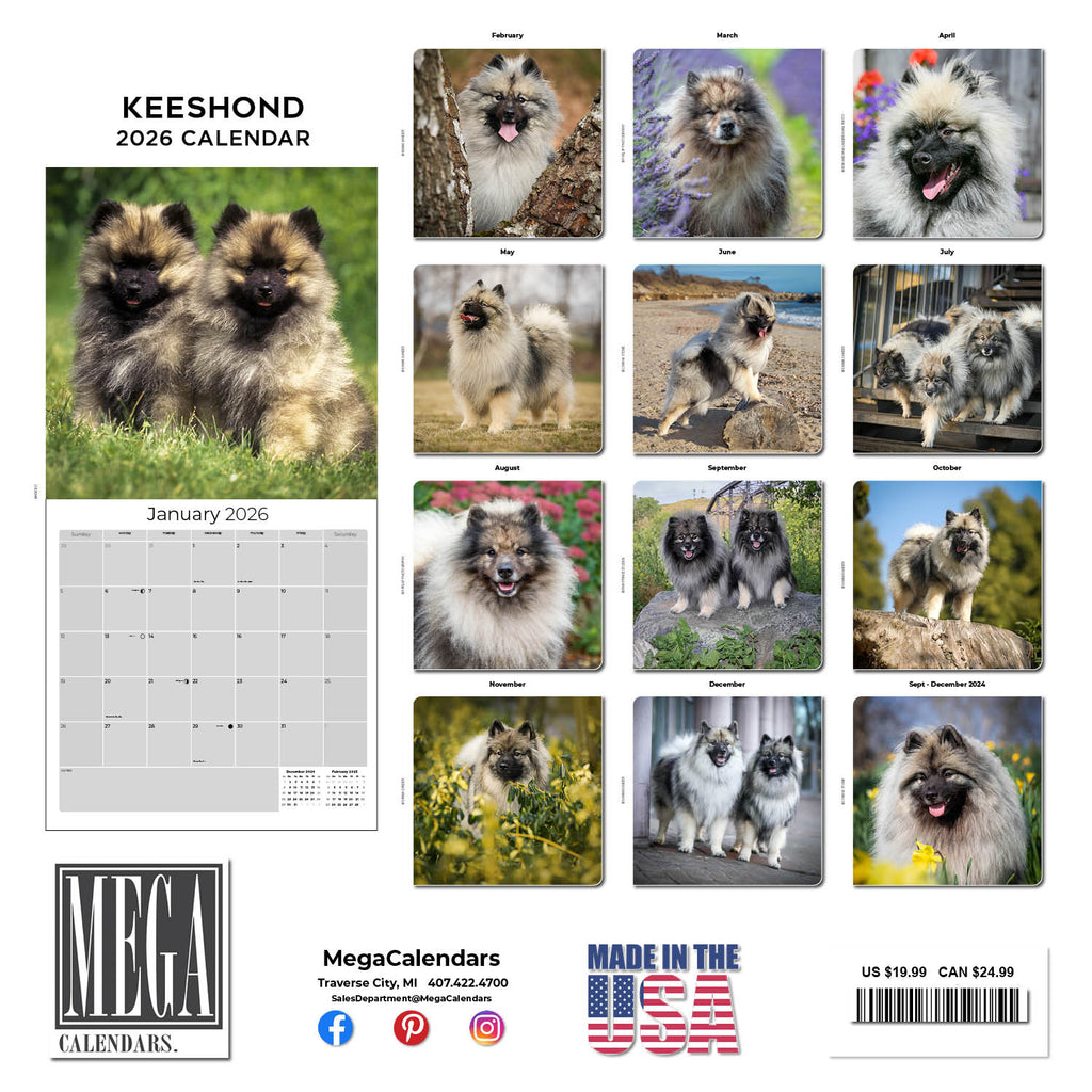 Keeshond Wall Calendar 2026