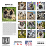 Keeshond Wall Calendar 2026