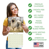 Keeshond Wall Calendar 2026