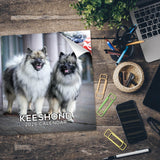 Keeshond Wall Calendar 2026