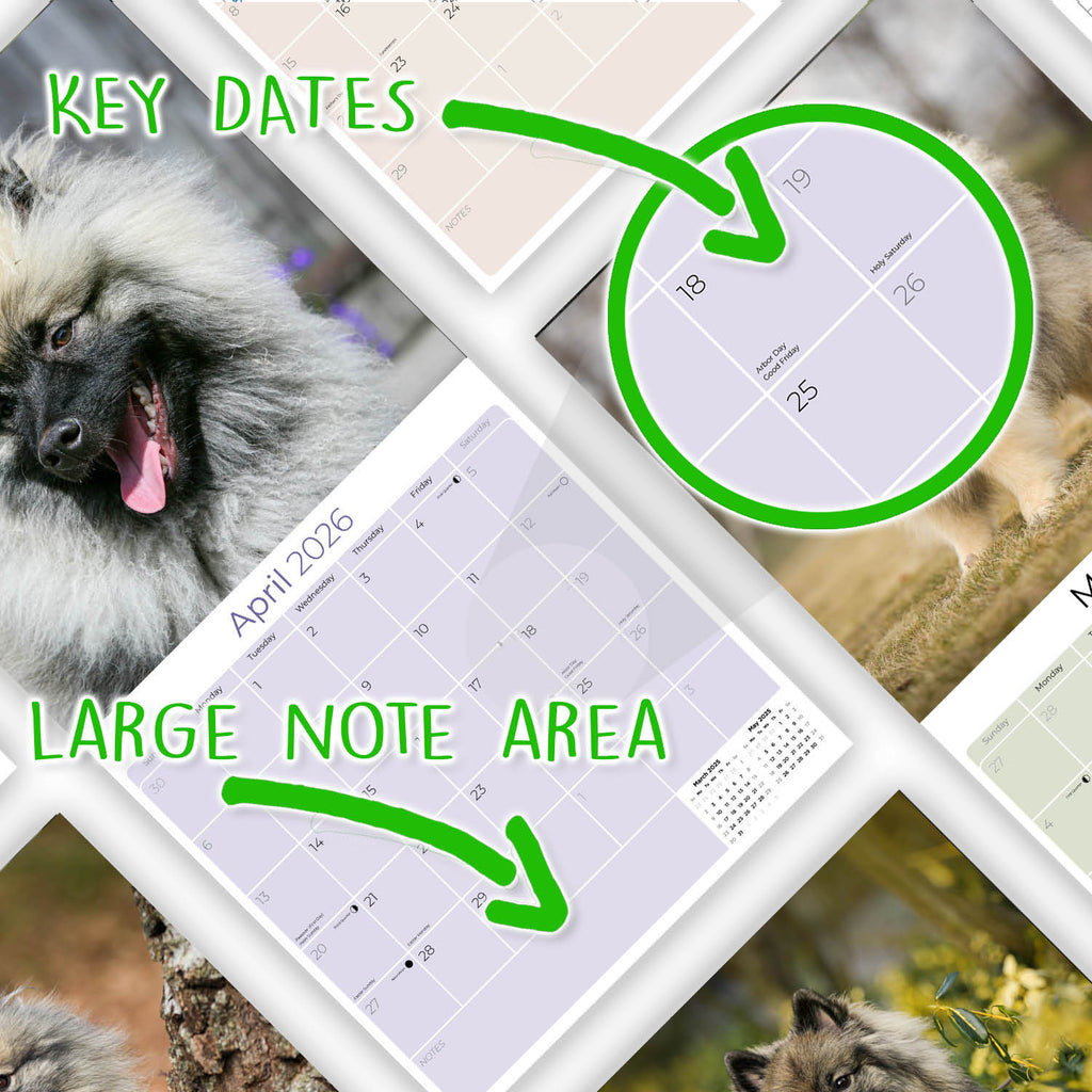 Keeshond Wall Calendar 2026