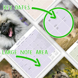 Keeshond Wall Calendar 2026