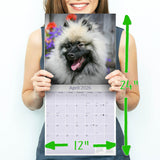 Keeshond Wall Calendar 2026