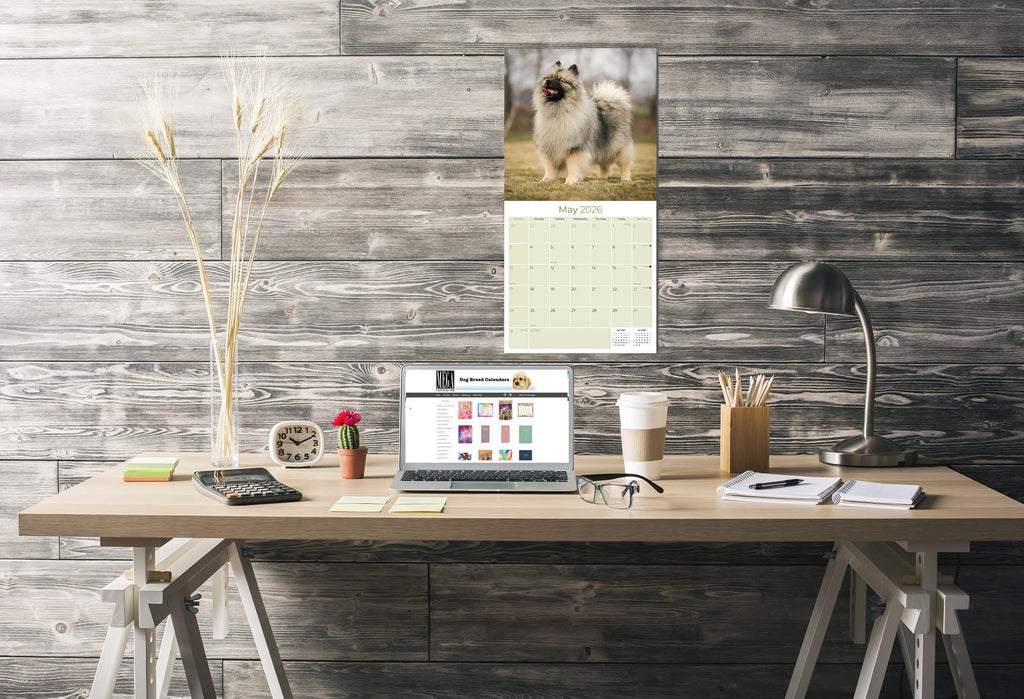 Keeshond Wall Calendar 2026