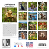 Labradoodle Wall Calendar 2026