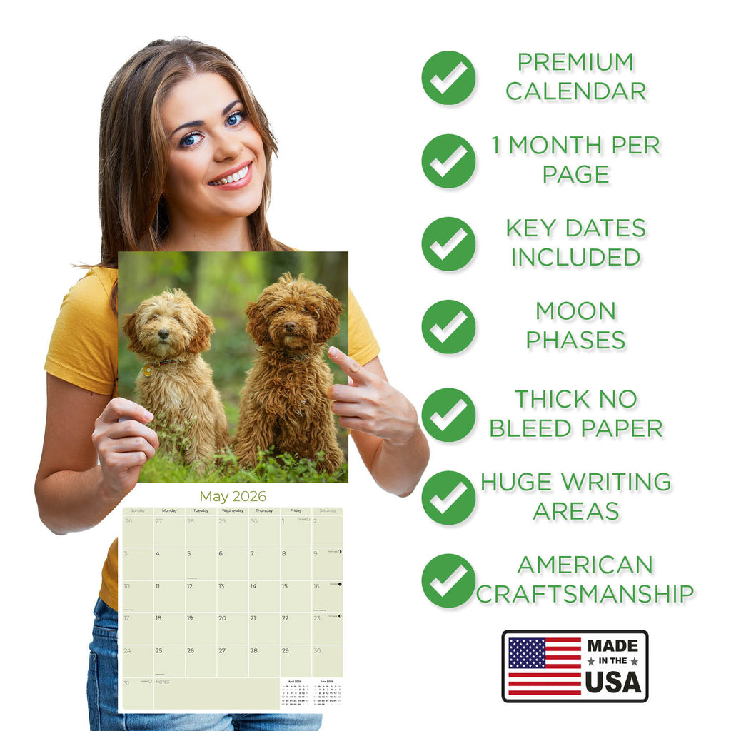 Labradoodle Wall Calendar 2026