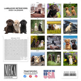 Labrador Ret (Mixed) Wall Calendar 2026
