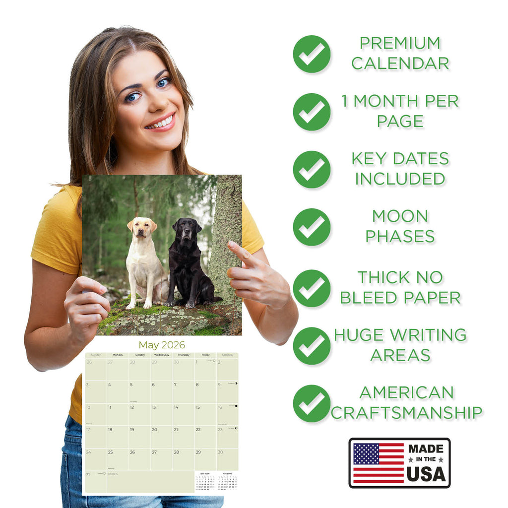 Labrador Ret (Mixed) Wall Calendar 2026