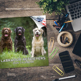 Labrador Ret (Mixed) Wall Calendar 2026