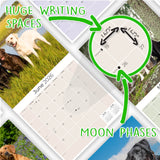Labrador Ret (Mixed) Wall Calendar 2026