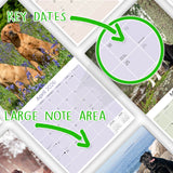Labrador Ret (Mixed) Wall Calendar 2026