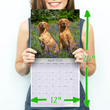 Labrador Ret (Mixed) Wall Calendar 2026