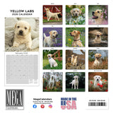 Labrador Ret (Yellow) Wall Calendar 2026