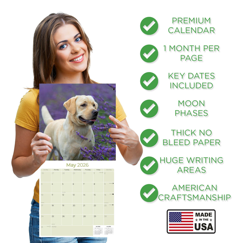 Labrador Ret (Yellow) Wall Calendar 2026