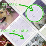 Labrador Ret (Yellow) Wall Calendar 2026