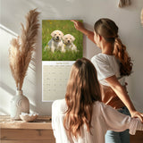 Yellow Labrador Puppies Wall Calendar 2026