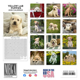 Yellow Labrador Puppies Wall Calendar 2026