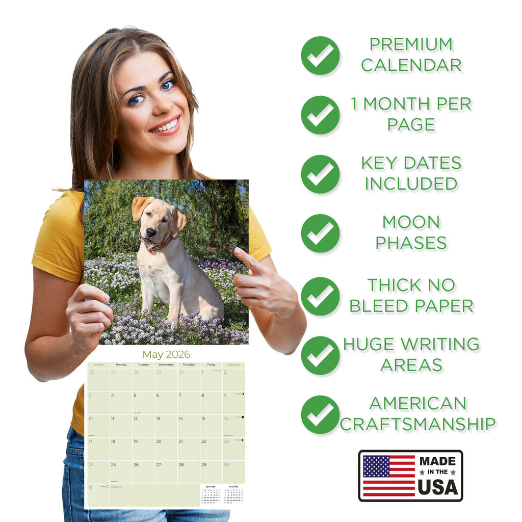 Yellow Labrador Puppies Wall Calendar 2026