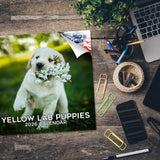 Yellow Labrador Puppies Wall Calendar 2026