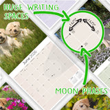 Yellow Labrador Puppies Wall Calendar 2026