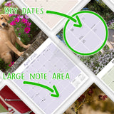 Yellow Labrador Puppies Wall Calendar 2026