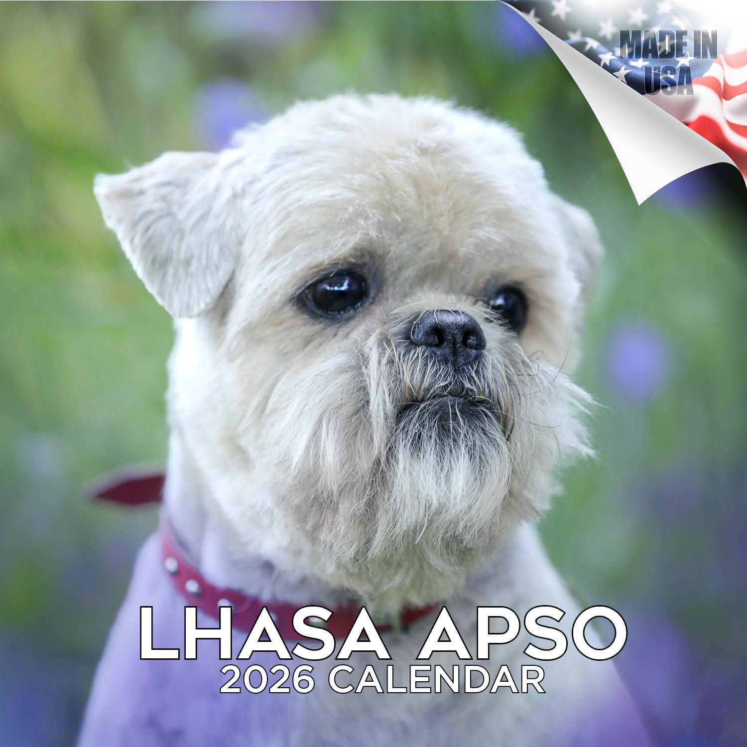 Lhasa Apso Wall Calendar 2026