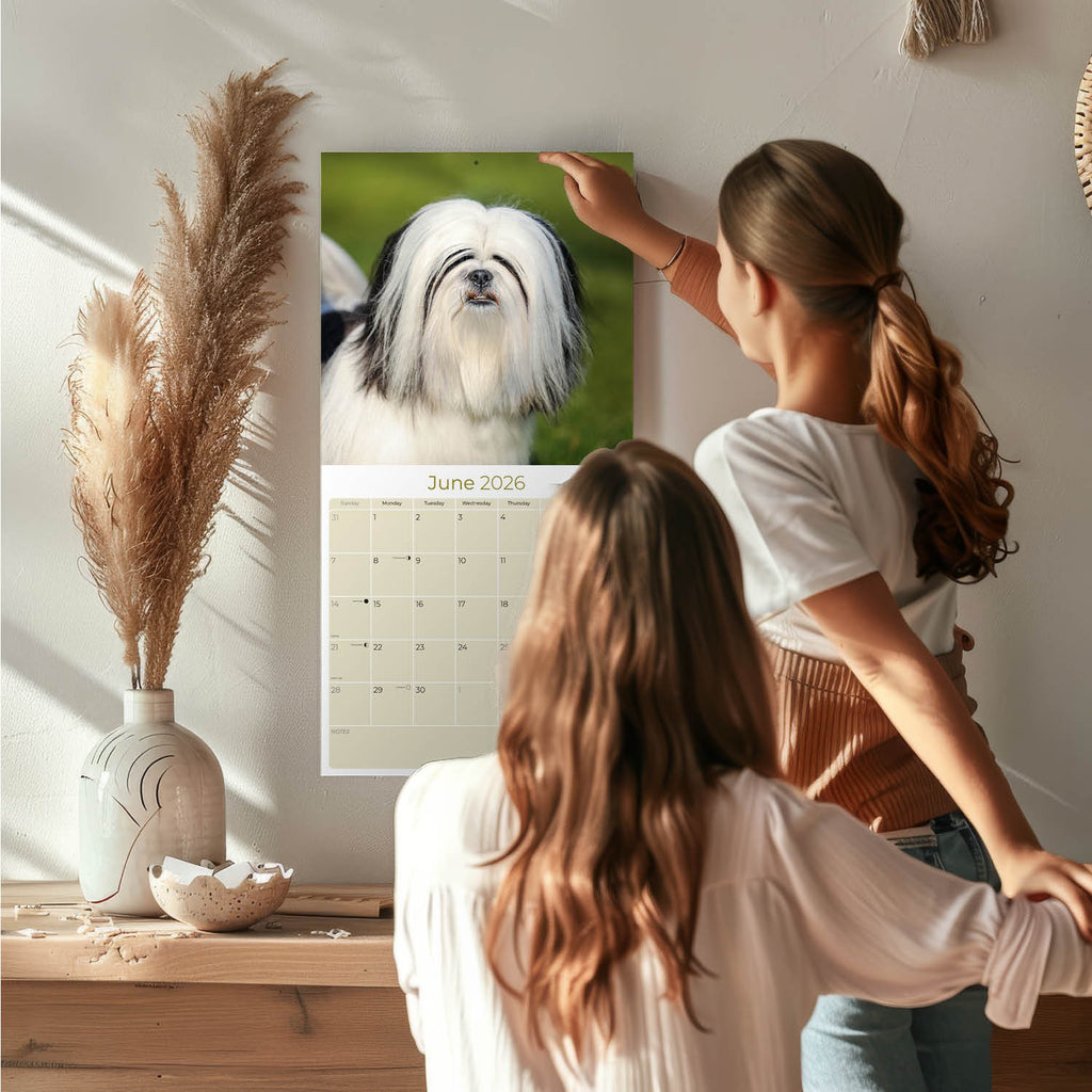 Lhasa Apso Wall Calendar 2026
