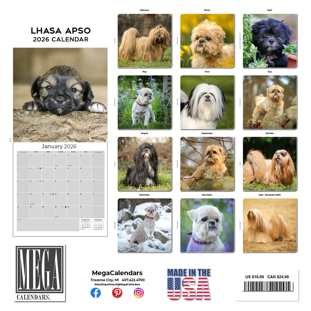 Lhasa Apso Wall Calendar 2026