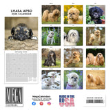 Lhasa Apso Wall Calendar 2026