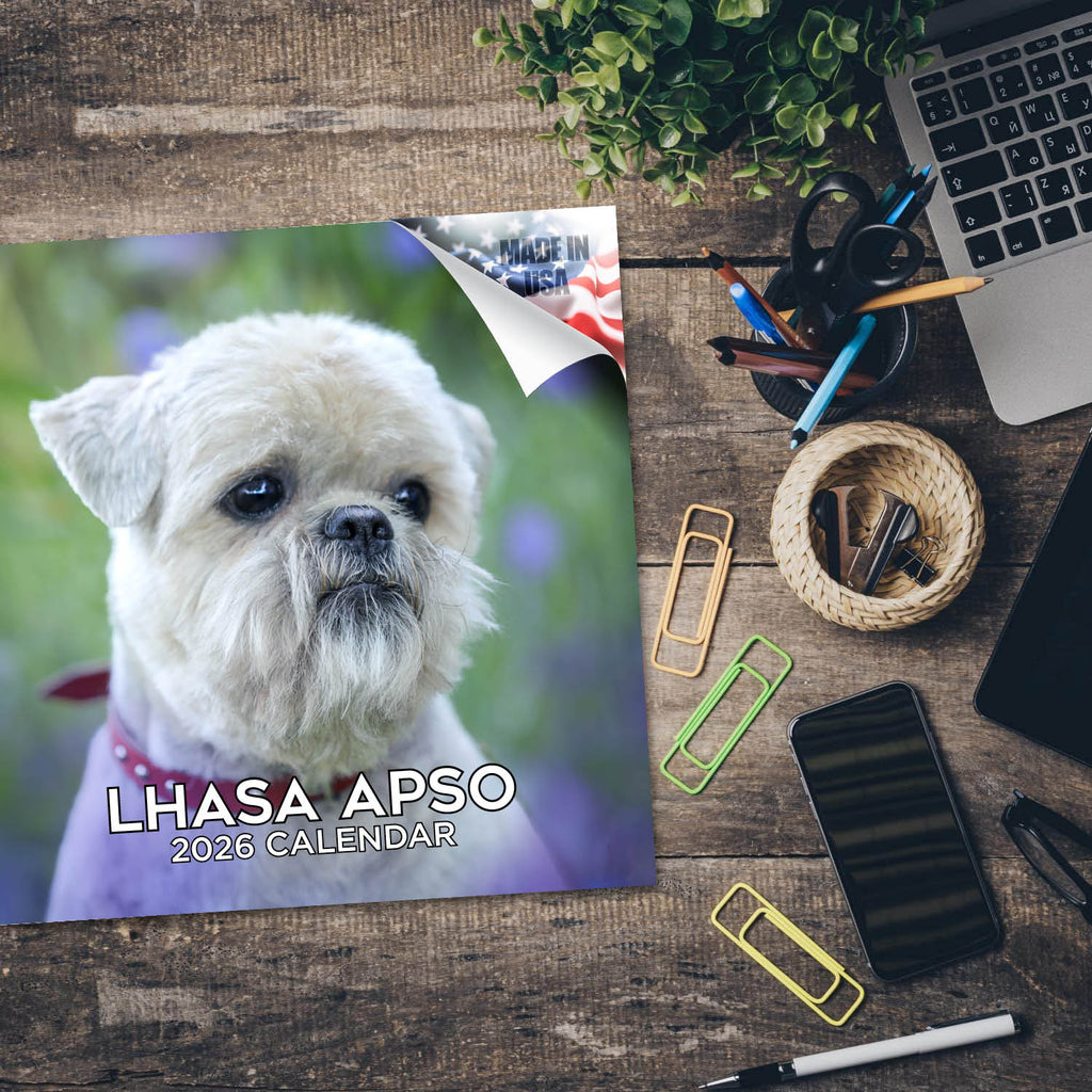 Lhasa Apso Wall Calendar 2026