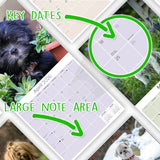 Lhasa Apso Wall Calendar 2026