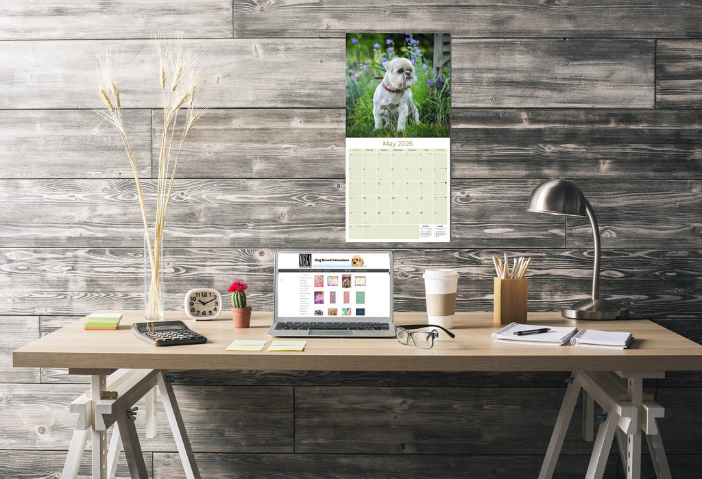 Lhasa Apso Wall Calendar 2026