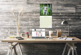 Lhasa Apso Wall Calendar 2026