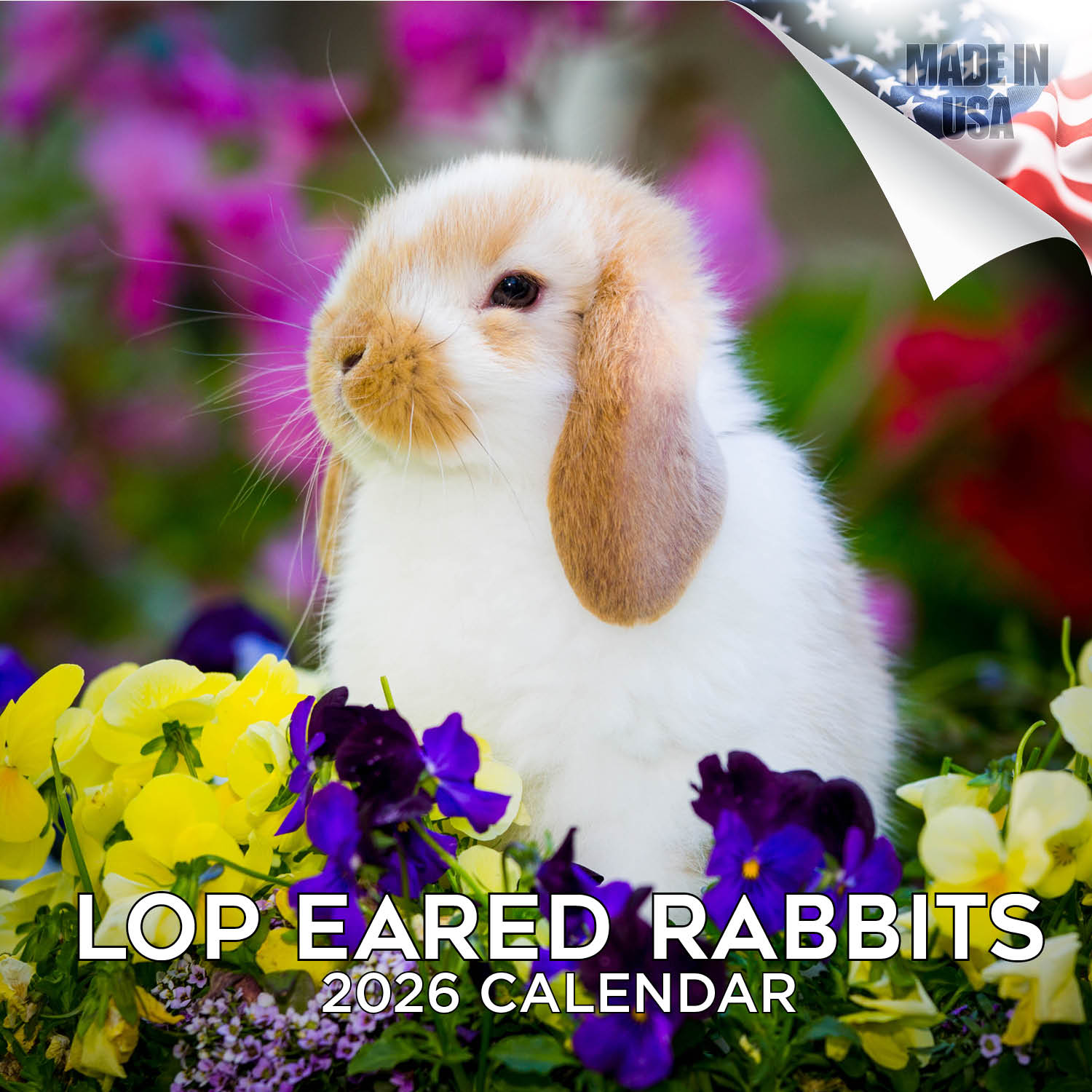 Lop Eared Rabbit Wall Calendar 2026