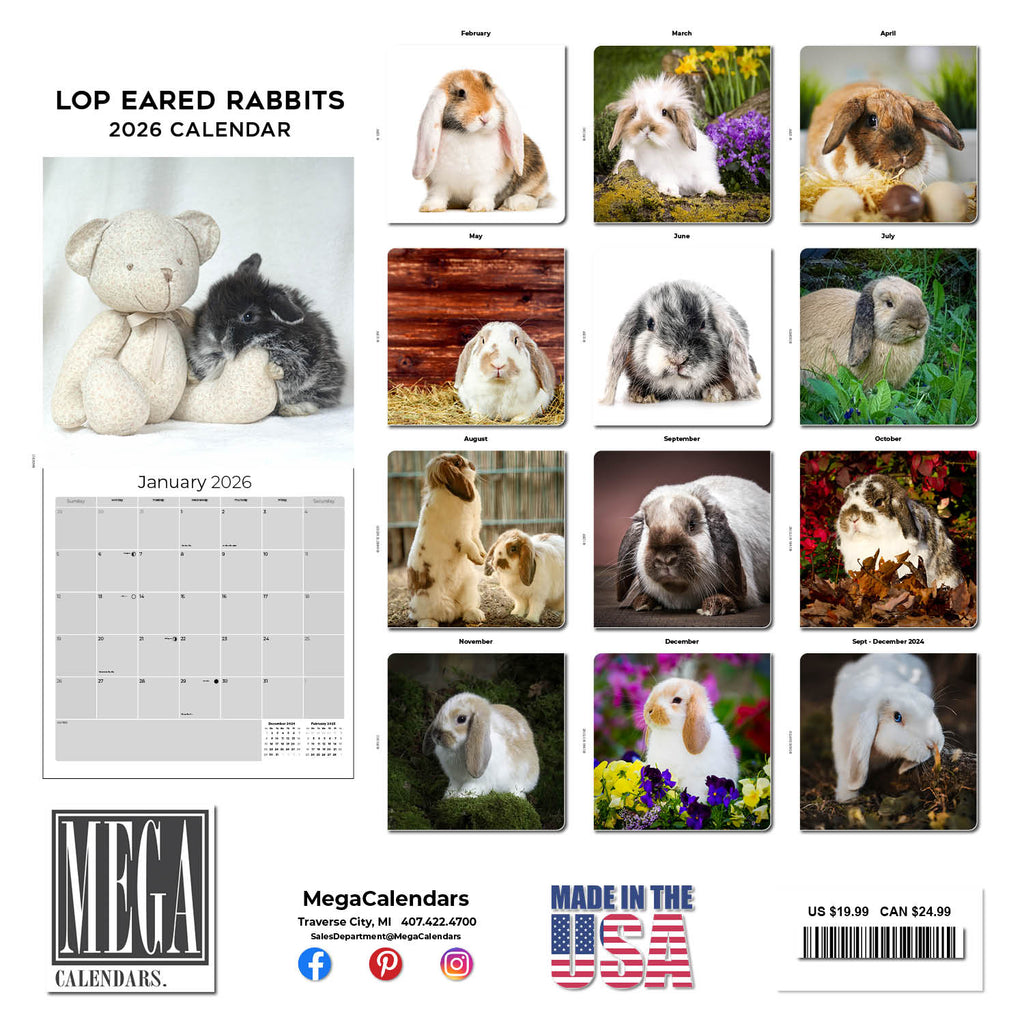 Lop Eared Rabbit Wall Calendar 2026