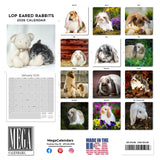 Lop Eared Rabbit Wall Calendar 2026