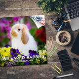 Lop Eared Rabbit Wall Calendar 2026